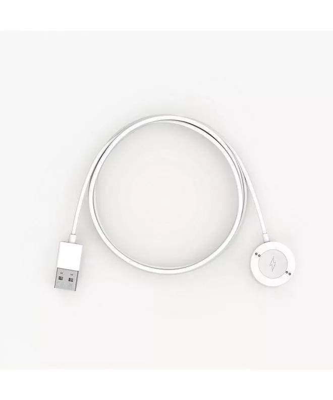 Φορτιστής Skagen Falster Gen 6 Smartwatch Rapid Charger SKT0005G
