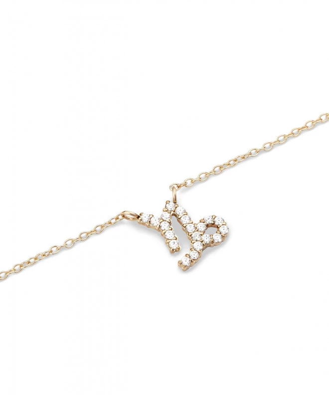 Κολιέ Daniel Wellington Crystal Zodiac Chain Gold Capricorn DW00400928