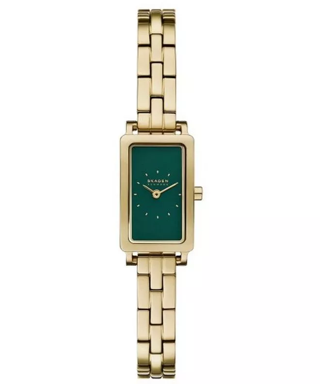 Ρολόι Γυναικεία Skagen Hagen Micro Hagen SKW3146