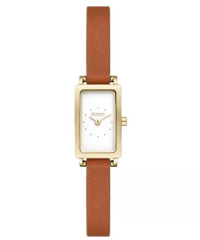 Ρολόι Γυναικεία Skagen Hagen Micro Hagen SKW3149