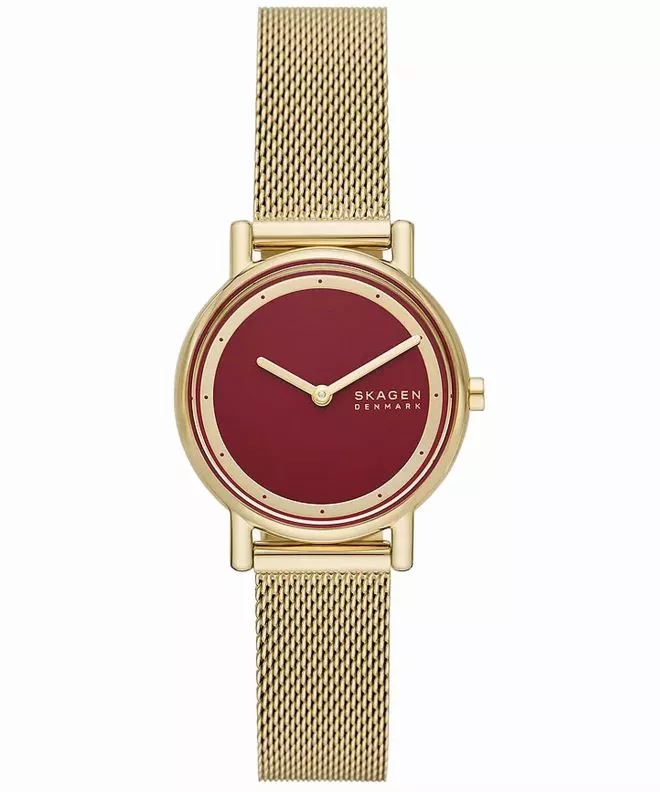 Ρολόι Γυναικεία Skagen Signatur Lille SKW3117