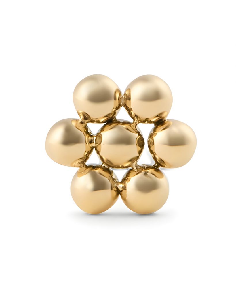 Σκουλαρίκι Daniel Wellington Flower Stud Gold