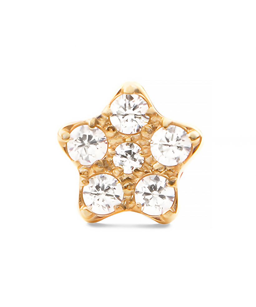 Σκουλαρίκι Daniel Wellington Crystal Star Stud Gold