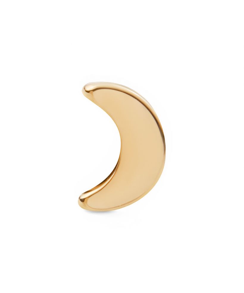 Σκουλαρίκι Daniel Wellington Moon Stud Gold