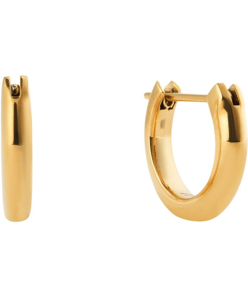 Σκουλαρίκι Daniel Wellington Arch Gold