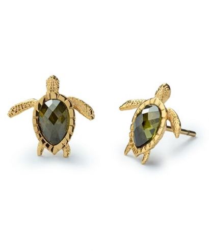 Σκουλαρίκια Paul Hewitt Turtle Gold
